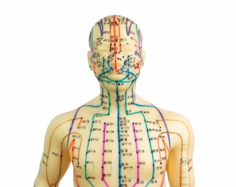 LE BASI DELLA MTC IN TRICOLOGIA- TOMMASO GUIDO